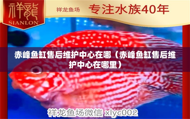 赤峰魚缸售后維護(hù)中心在哪（赤峰魚缸售后維護(hù)中心在哪里） 其他品牌魚缸