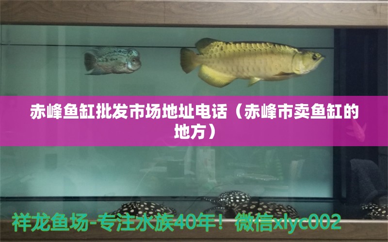 赤峰魚(yú)缸批發(fā)市場(chǎng)地址電話(huà)（赤峰市賣(mài)魚(yú)缸的地方） 月光鴨嘴魚(yú)