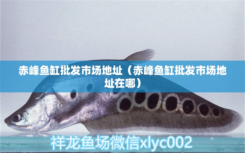 赤峰魚缸批發(fā)市場地址（赤峰魚缸批發(fā)市場地址在哪） 其他品牌魚缸