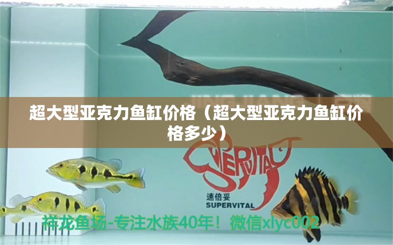 超大型亞克力魚(yú)缸價(jià)格（超大型亞克力魚(yú)缸價(jià)格多少）