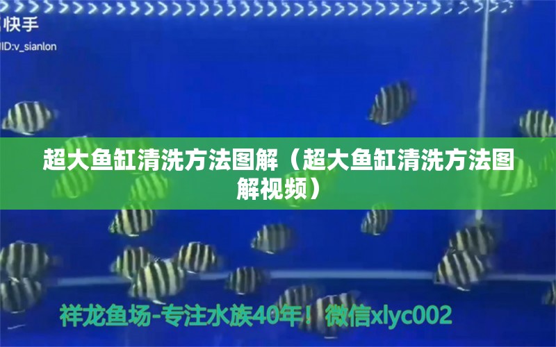 超大魚缸清洗方法圖解（超大魚缸清洗方法圖解視頻）