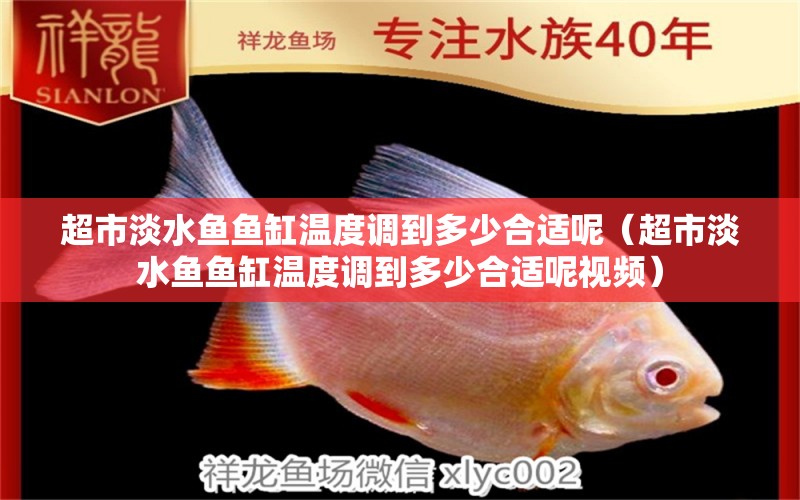 超市淡水魚魚缸溫度調(diào)到多少合適呢（超市淡水魚魚缸溫度調(diào)到多少合適呢視頻）