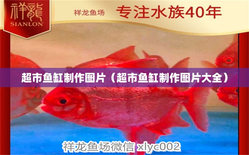 超市魚缸制作圖片（超市魚缸制作圖片大全）