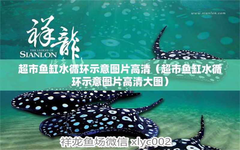 超市魚缸水循環(huán)示意圖片高清（超市魚缸水循環(huán)示意圖片高清大圖） 觀賞魚市場（混養(yǎng)魚）