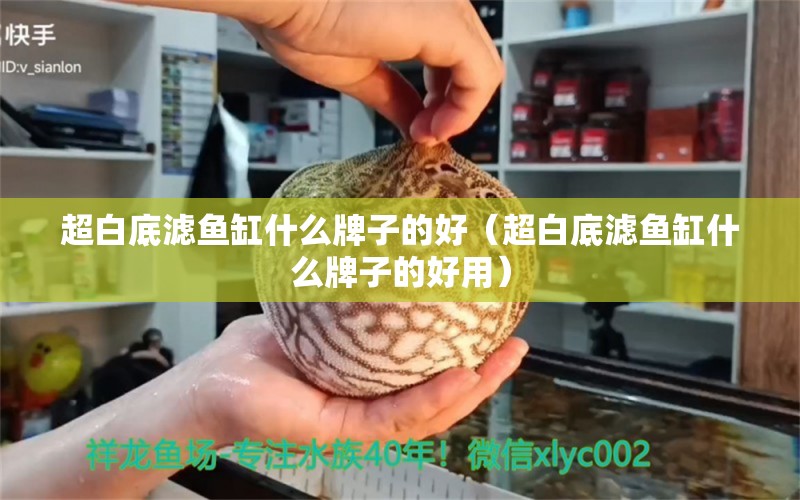 超白底濾魚缸什么牌子的好（超白底濾魚缸什么牌子的好用）