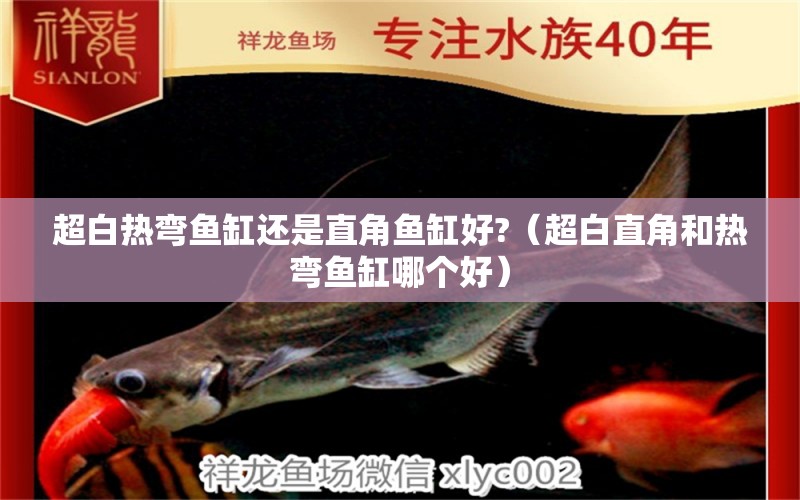 超白熱彎魚(yú)缸還是直角魚(yú)缸好?（超白直角和熱彎魚(yú)缸哪個(gè)好）