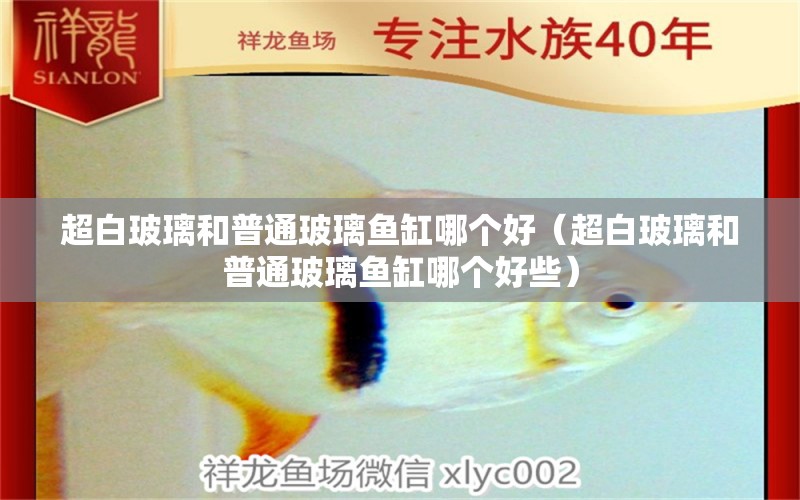 超白玻璃和普通玻璃魚(yú)缸哪個(gè)好（超白玻璃和普通玻璃魚(yú)缸哪個(gè)好些）