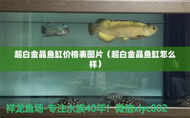 超白金晶魚缸價格表圖片（超白金晶魚缸怎么樣）