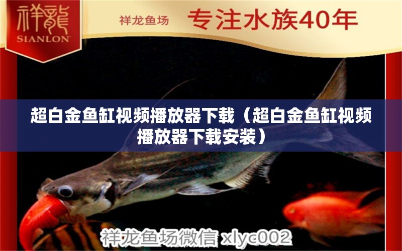 超白金魚缸視頻播放器下載（超白金魚缸視頻播放器下載安裝）