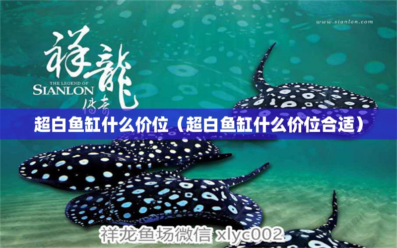 超白魚缸什么價位（超白魚缸什么價位合適） iwish愛唯希品牌魚缸