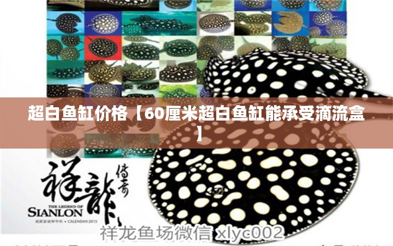 超白魚缸價格【60厘米超白魚缸能承受滴流盒】