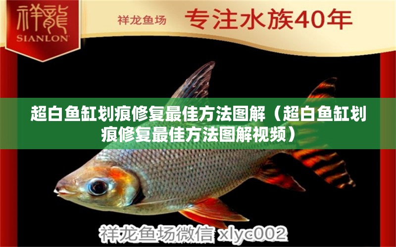 超白魚缸劃痕修復(fù)最佳方法圖解（超白魚缸劃痕修復(fù)最佳方法圖解視頻）