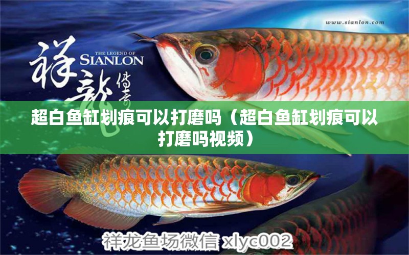 超白魚(yú)缸劃痕可以打磨嗎（超白魚(yú)缸劃痕可以打磨嗎視頻）