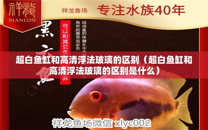 超白魚(yú)缸和高清浮法玻璃的區(qū)別（超白魚(yú)缸和高清浮法玻璃的區(qū)別是什么）