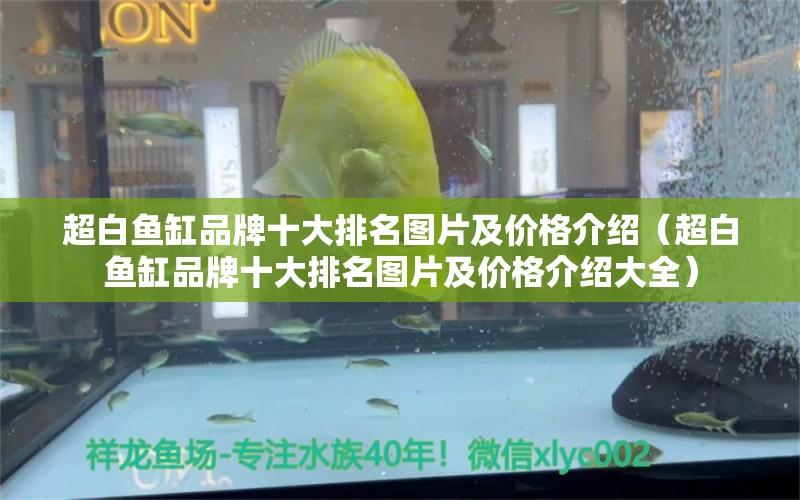 超白魚缸品牌十大排名圖片及價格介紹（超白魚缸品牌十大排名圖片及價格介紹大全）