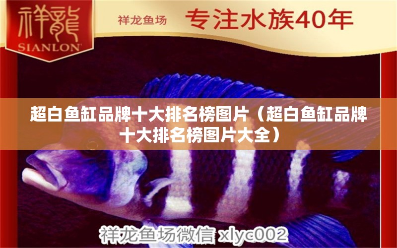 超白魚缸品牌十大排名榜圖片（超白魚缸品牌十大排名榜圖片大全）