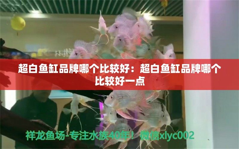 超白魚缸品牌哪個比較好：超白魚缸品牌哪個比較好一點