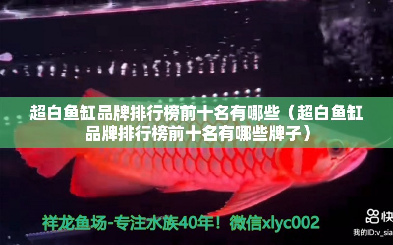 超白魚(yú)缸品牌排行榜前十名有哪些（超白魚(yú)缸品牌排行榜前十名有哪些牌子）