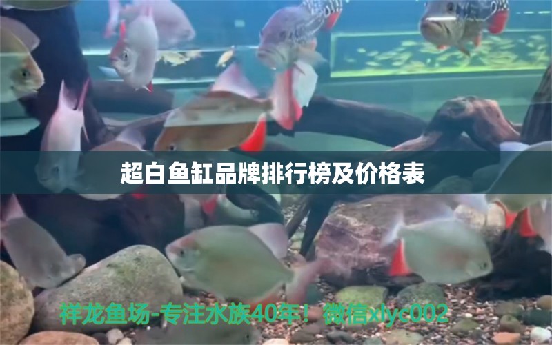 超白魚缸品牌排行榜及價格表  魟魚百科