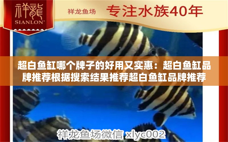 超白魚(yú)缸哪個(gè)牌子的好用又實(shí)惠：超白魚(yú)缸品牌推薦根據(jù)搜索結(jié)果推薦超白魚(yú)缸品牌推薦 魚(yú)缸百科 第2張