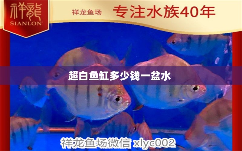 超白魚(yú)缸多少錢一盆水 