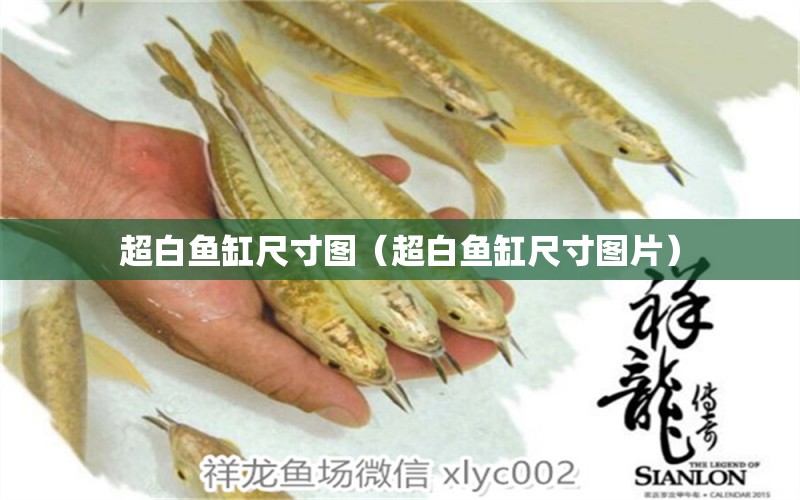 超白魚缸尺寸圖（超白魚缸尺寸圖片）