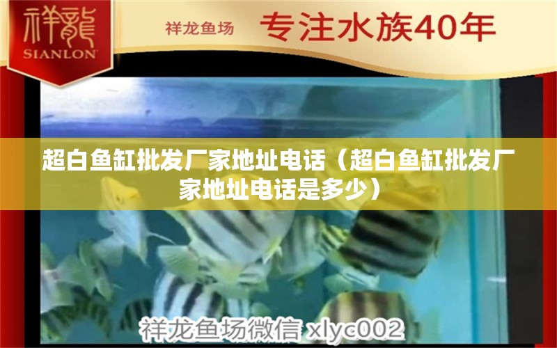 超白魚缸批發(fā)廠家地址電話（超白魚缸批發(fā)廠家地址電話是多少）