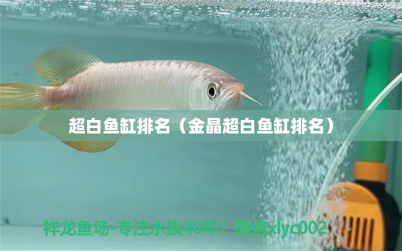 超白魚缸排名（金晶超白魚缸排名）