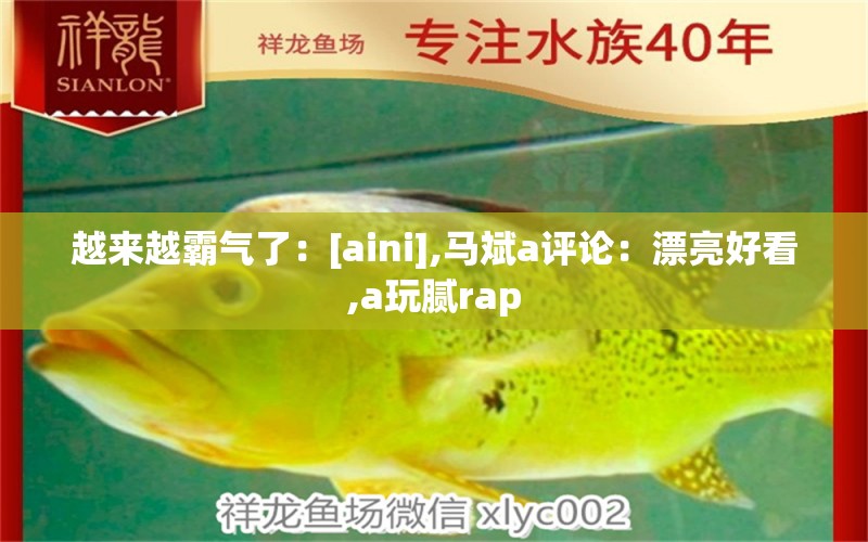 越來(lái)越霸氣了：[aini],馬斌a評(píng)論：漂亮好看,a玩膩rap 觀賞魚(yú)論壇 第2張