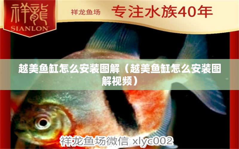 越美魚缸怎么安裝圖解（越美魚缸怎么安裝圖解視頻）