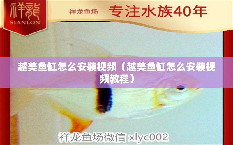 越美魚缸怎么安裝視頻（越美魚缸怎么安裝視頻教程） 觀賞魚市場（混養(yǎng)魚）