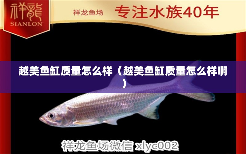 越美魚缸質(zhì)量怎么樣（越美魚缸質(zhì)量怎么樣?。? title=