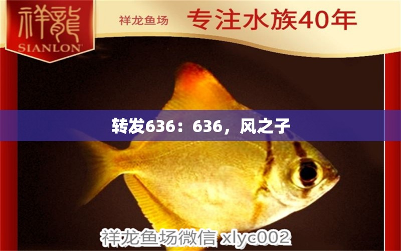 轉發(fā)636：636，風之子 觀賞魚論壇 第3張