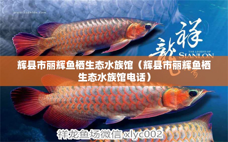 輝縣市麗輝魚棲生態(tài)水族館（輝縣市麗輝魚棲生態(tài)水族館電話） 全國水族館企業(yè)名錄