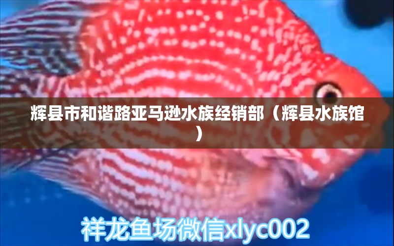 輝縣市和諧路亞馬遜水族經(jīng)銷部（輝縣水族館） 全國水族館企業(yè)名錄