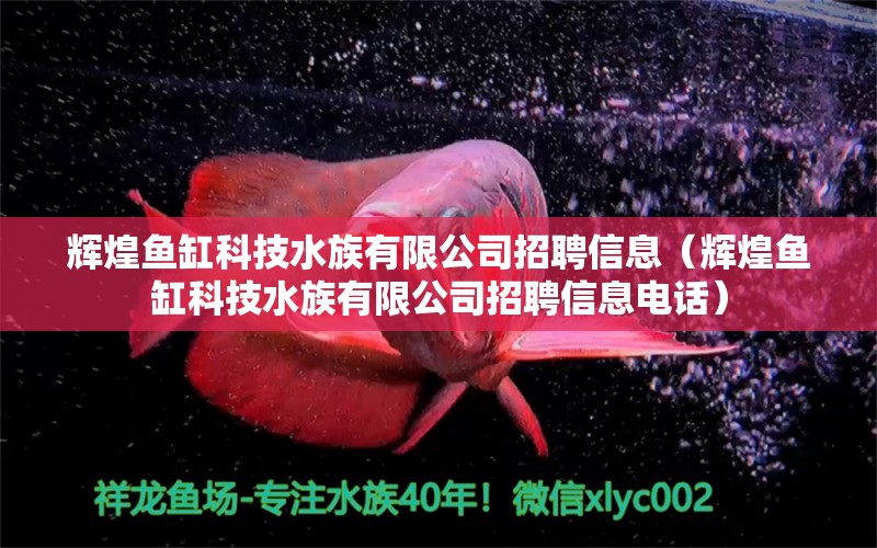 輝煌魚缸科技水族有限公司招聘信息（輝煌魚缸科技水族有限公司招聘信息電話）