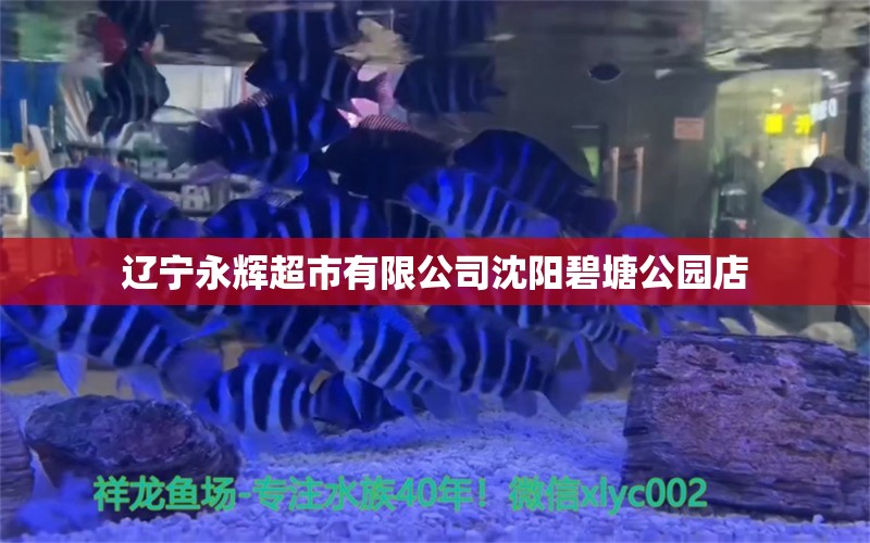 遼寧永輝超市有限公司沈陽碧塘公園店 全國水族館企業(yè)名錄