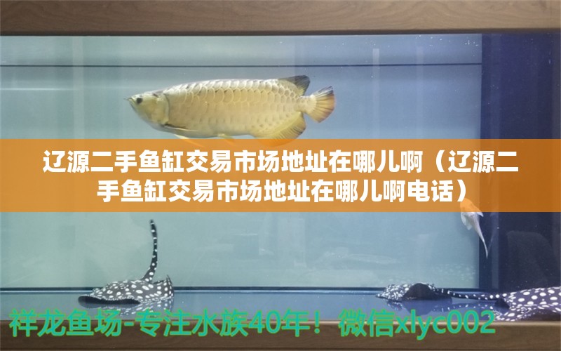 遼源二手魚缸交易市場(chǎng)地址在哪兒?。ㄟ|源二手魚缸交易市場(chǎng)地址在哪兒啊電話）