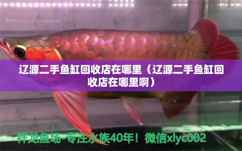 遼源二手魚缸回收店在哪里（遼源二手魚缸回收店在哪里?。?觀賞魚市場（混養(yǎng)魚）