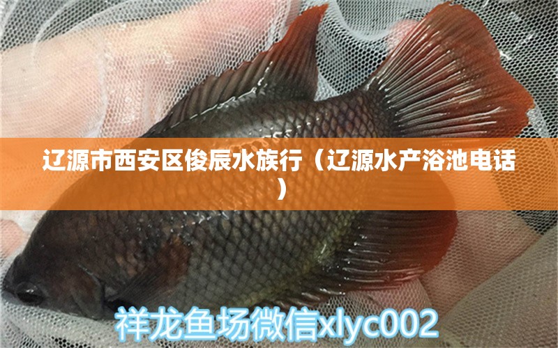 遼源市西安區(qū)俊辰水族行（遼源水產浴池電話） 全國水族館企業(yè)名錄