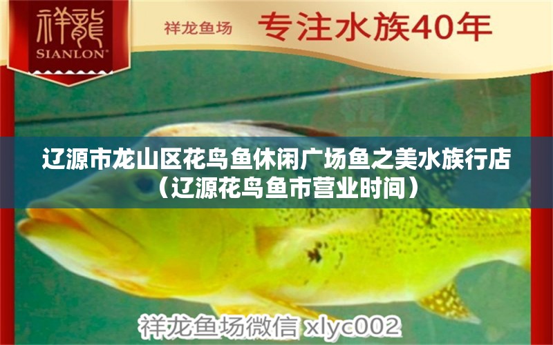 遼源市龍山區(qū)花鳥魚休閑廣場魚之美水族行店（遼源花鳥魚市營業(yè)時間）