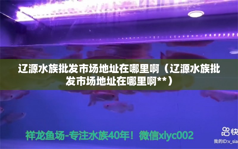 遼源水族批發(fā)市場地址在哪里?。ㄟ|源水族批發(fā)市場地址在哪里啊**） 觀賞魚水族批發(fā)市場