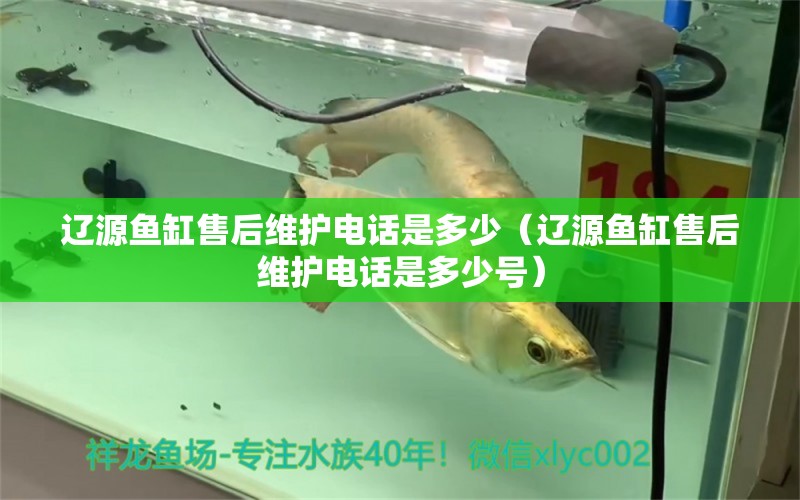 遼源魚缸售后維護電話是多少（遼源魚缸售后維護電話是多少號）