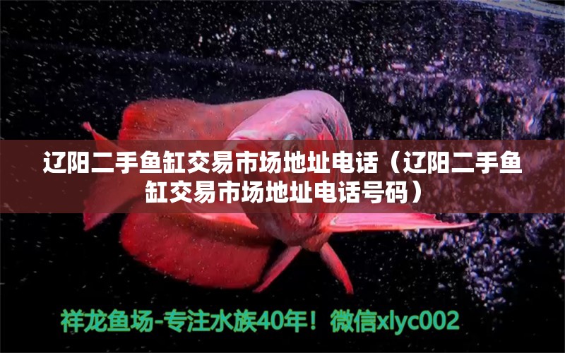 遼陽(yáng)二手魚(yú)缸交易市場(chǎng)地址電話（遼陽(yáng)二手魚(yú)缸交易市場(chǎng)地址電話號(hào)碼） 觀賞魚(yú)市場(chǎng)（混養(yǎng)魚(yú)）