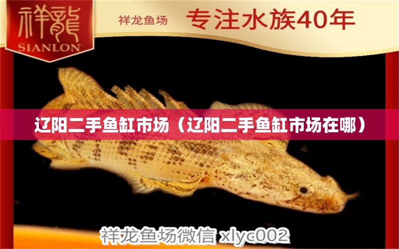 遼陽二手魚缸市場（遼陽二手魚缸市場在哪） 其他品牌魚缸