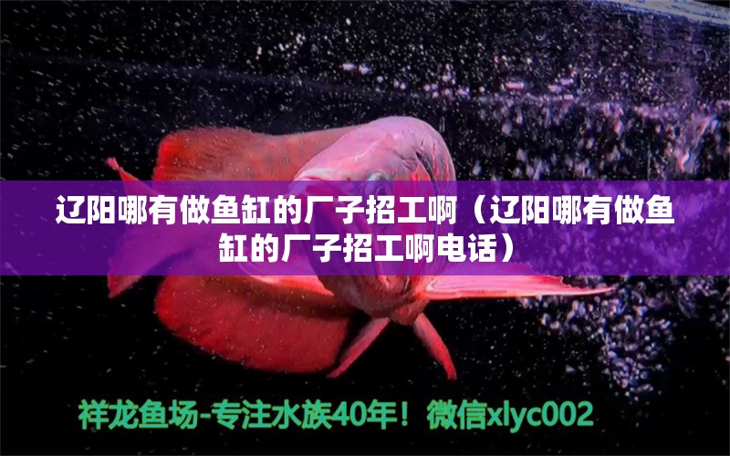 遼陽哪有做魚缸的廠子招工?。ㄟ|陽哪有做魚缸的廠子招工啊電話） iwish愛唯希品牌魚缸