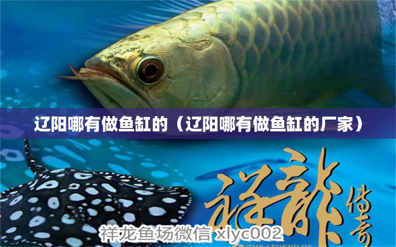 遼陽哪有做魚缸的（遼陽哪有做魚缸的廠家） 其他品牌魚缸