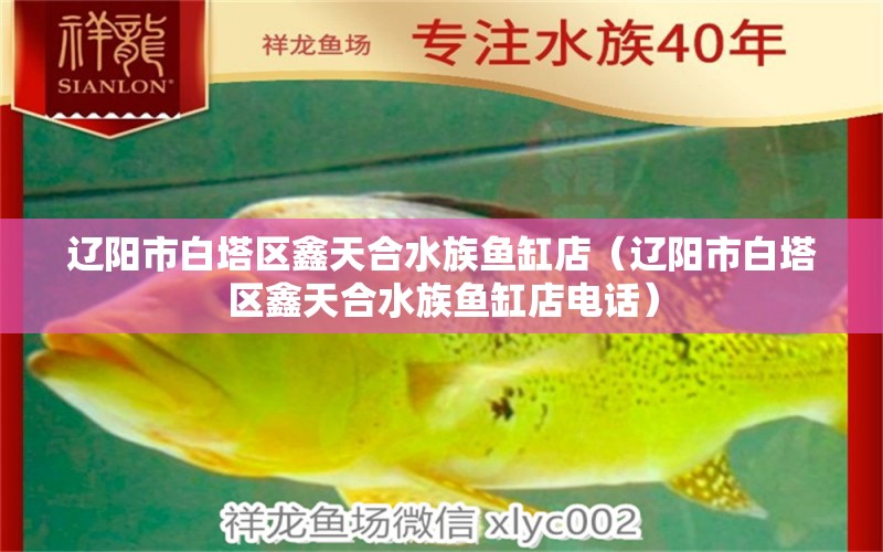 遼陽市白塔區(qū)鑫天合水族魚缸店（遼陽市白塔區(qū)鑫天合水族魚缸店電話）