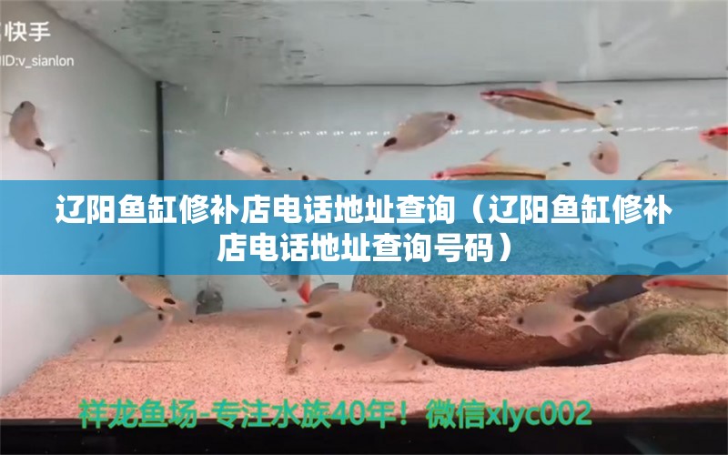 遼陽(yáng)魚(yú)缸修補(bǔ)店電話地址查詢（遼陽(yáng)魚(yú)缸修補(bǔ)店電話地址查詢號(hào)碼）