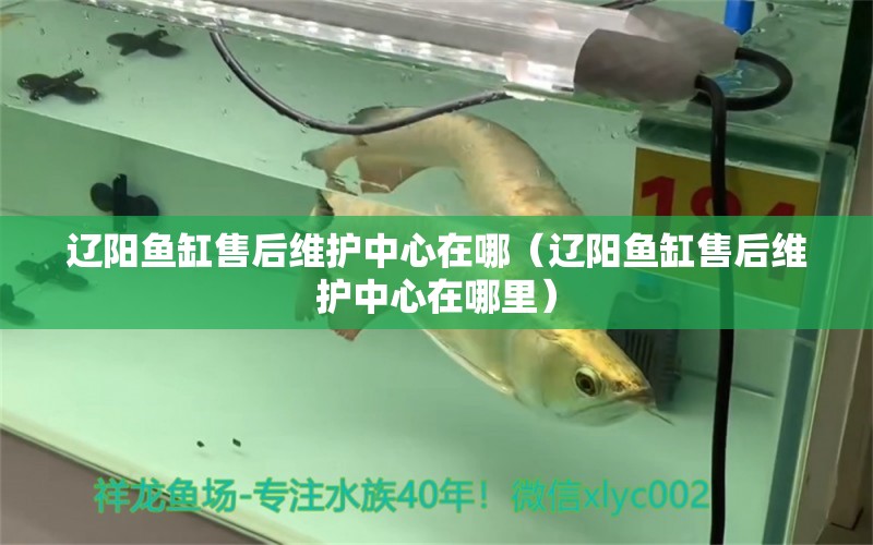 遼陽(yáng)魚(yú)缸售后維護(hù)中心在哪（遼陽(yáng)魚(yú)缸售后維護(hù)中心在哪里） 其他品牌魚(yú)缸